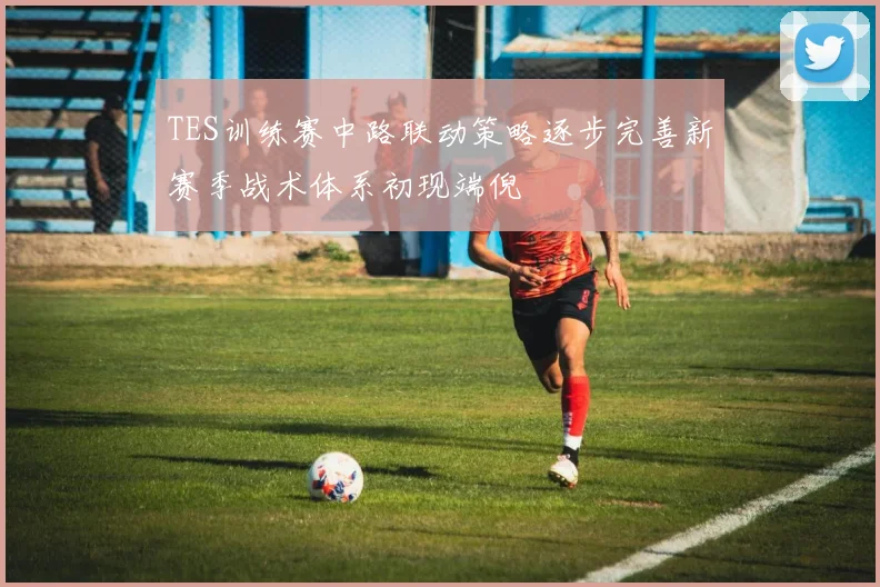TES训练赛中路联动策略逐步完善新赛季战术体系初现端倪