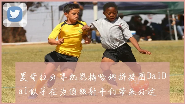 夏奇拉分享凯恩梅哈姆拼接图DaiDai似乎在为顶级射手们带来好运