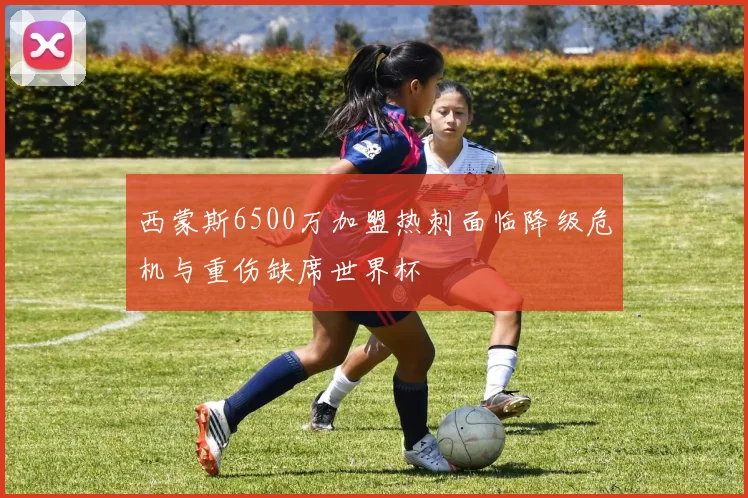 西蒙斯6500万加盟热刺面临降级危机与重伤缺席世界杯
